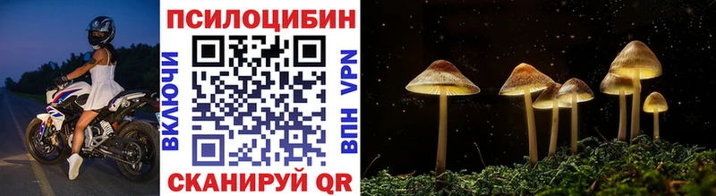 Купить где  Лаишево  Псилоцибиновые грибы ЛСД 